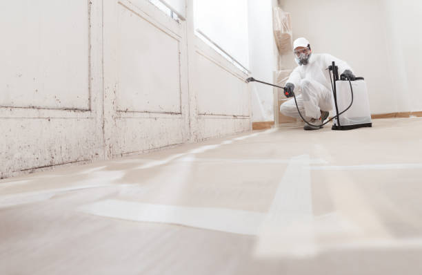 24/7 Emergency Basement Mold Removal experts in Millersville, PA